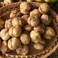 Саженец Орех привитый Стрижевский бумажный в контейнере